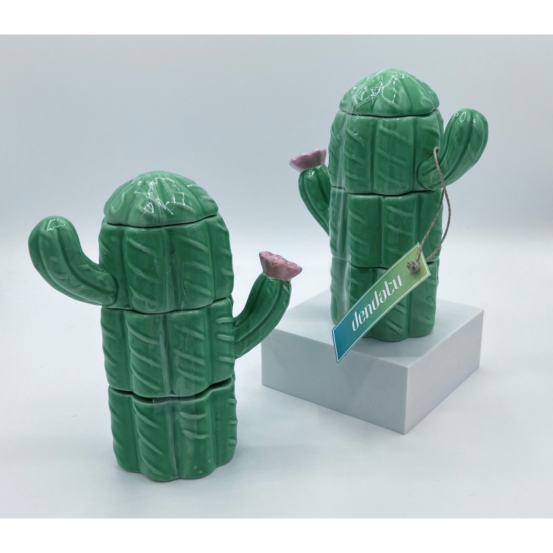 Alhajero Cactus cerámica